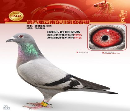 豪庭春棚決賽174名