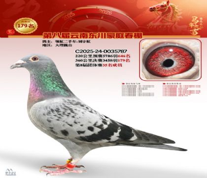 豪庭春棚決賽179名