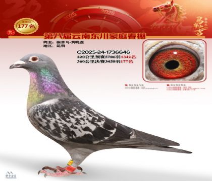 豪庭春棚決賽177名