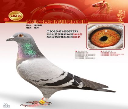 豪庭春棚決賽182名