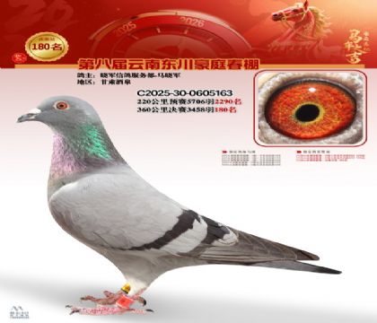 豪庭春棚決賽180名