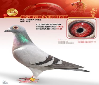 豪庭春棚決賽181名