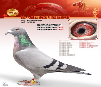 豪庭春棚決賽186名