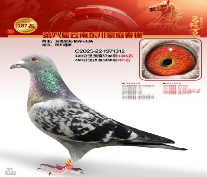 豪庭春棚決賽187名