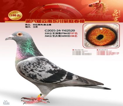 豪庭春棚決賽188名