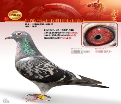 豪庭春棚決賽190名