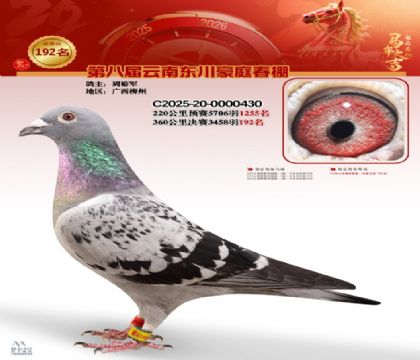 豪庭春棚決賽192名