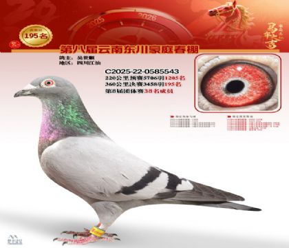 豪庭春棚決賽195名