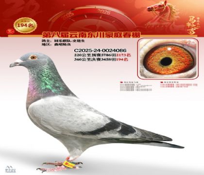 豪庭春棚決賽194名