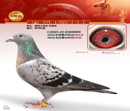 豪庭春棚決賽198名