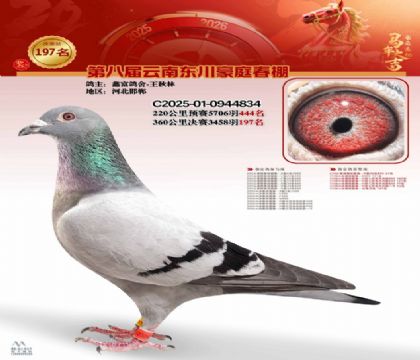 豪庭春棚決賽197名