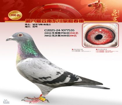 豪庭春棚決賽200名