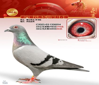 ��ͥ�������202��