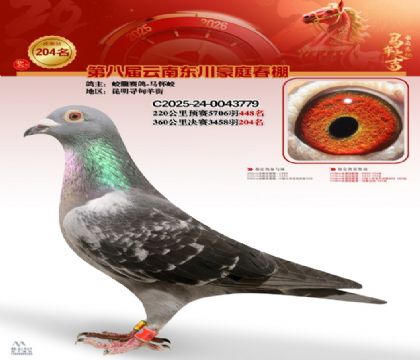 ��ͥ�������204��