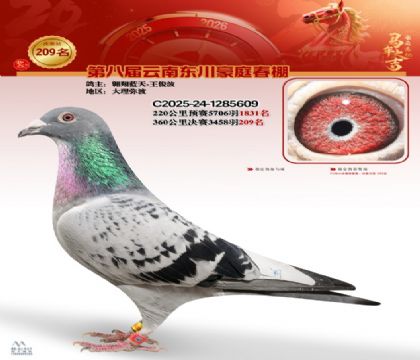 豪庭春棚决赛209名