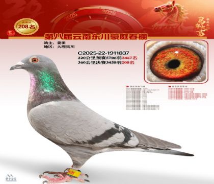 ��ͥ�������208��