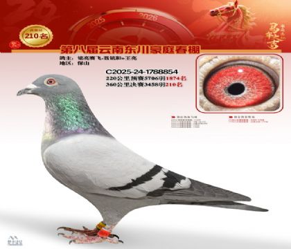 豪庭春棚决赛210名