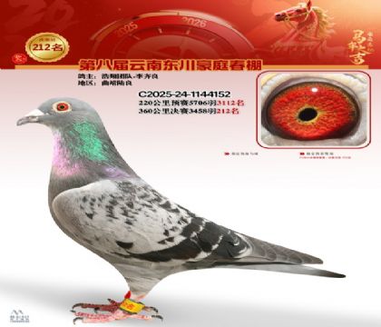 豪庭春棚决赛212名