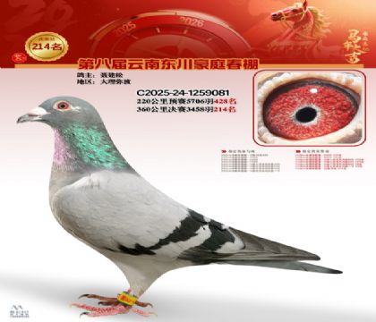 豪庭春棚决赛214名