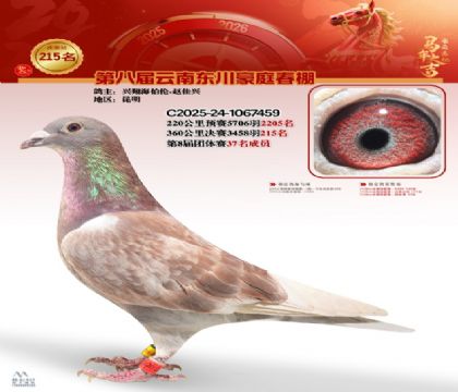 豪庭春棚决赛215名