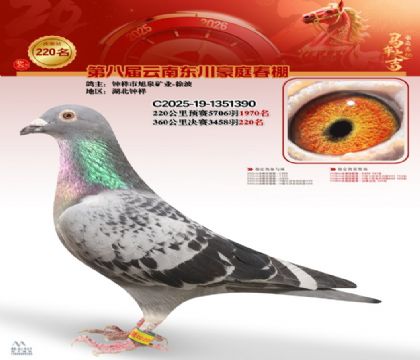 豪庭春棚决赛220名