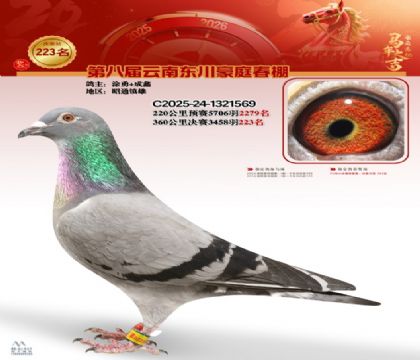 豪庭春棚决赛223名