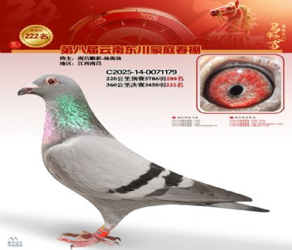 豪庭春棚决赛222名