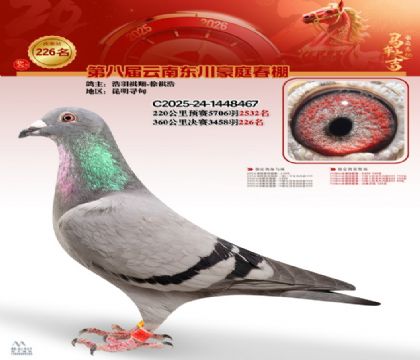 豪庭春棚决赛226名