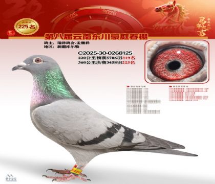 豪庭春棚决赛225名