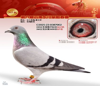 豪庭春棚决赛227名