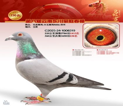 豪庭春棚决赛230名