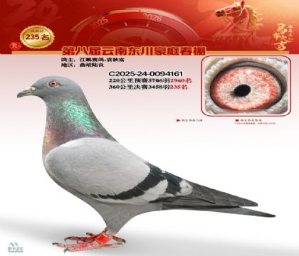 豪庭春棚决赛235名