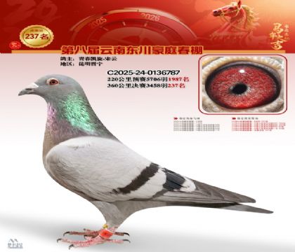 豪庭春棚决赛237名