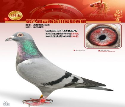 豪庭春棚决赛238名