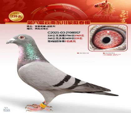 豪庭春棚决赛239名