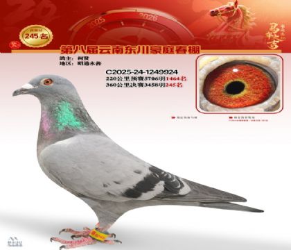 豪庭春棚决赛245名