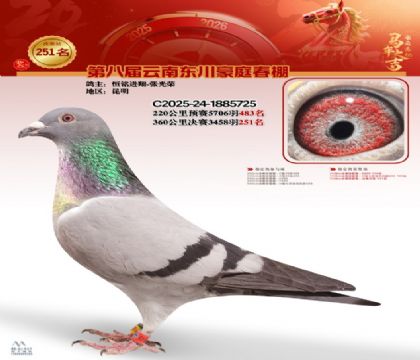 豪庭春棚决赛251名