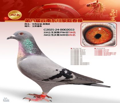 豪庭春棚决赛252名