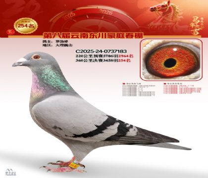 豪庭春棚决赛254名