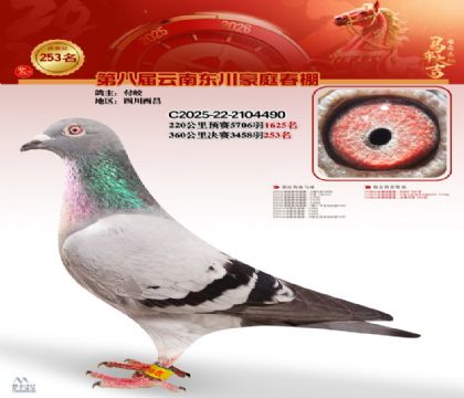 豪庭春棚决赛253名