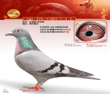 豪庭春棚决赛257名