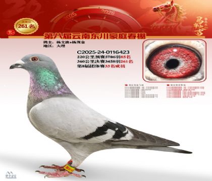 ��ͥ�������261��