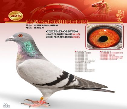 豪庭春棚决赛260名