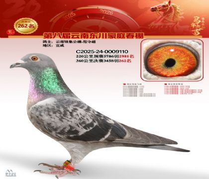 ��ͥ�������262��