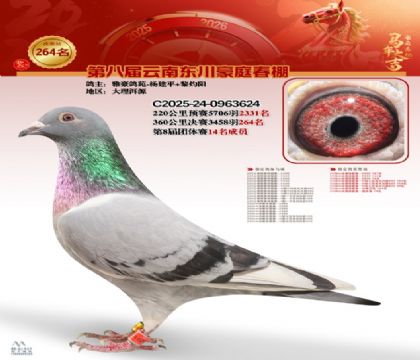 ��ͥ�������264��