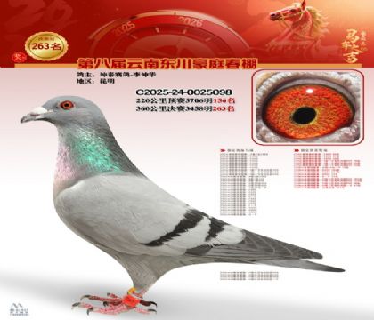 ��ͥ�������263��