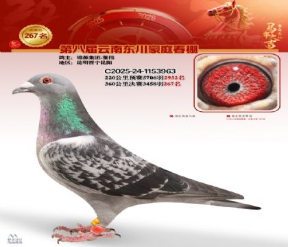 ��ͥ�������267��