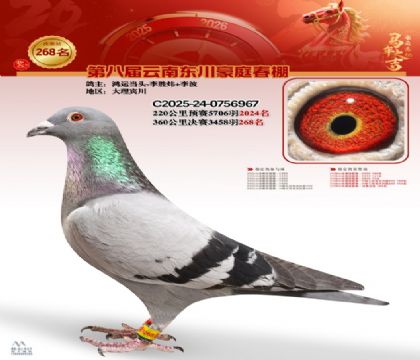 ��ͥ�������268��