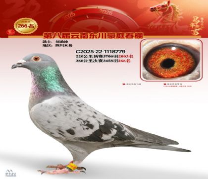 ��ͥ�������266��