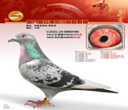 ��ͥ�������269��